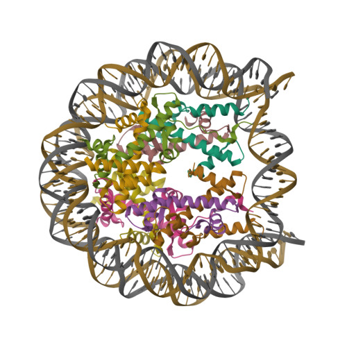 RCSB PDB - 5B40: The nucleosome structure containing H2B-K120 and H4 ...