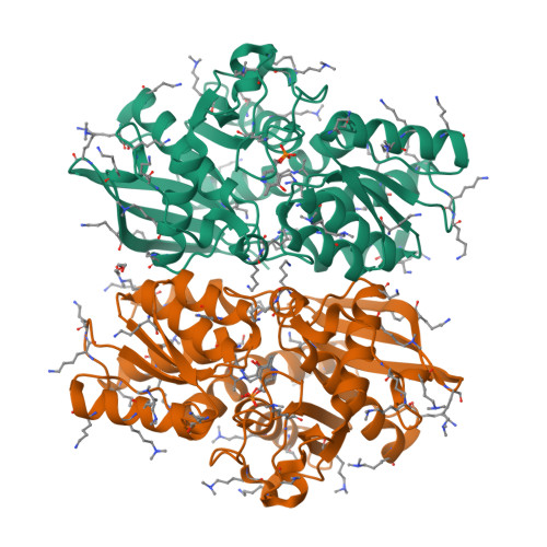 RCSB PDB - 5B55: Crystal structure of hydrogen sulfide-producing enzyme ...