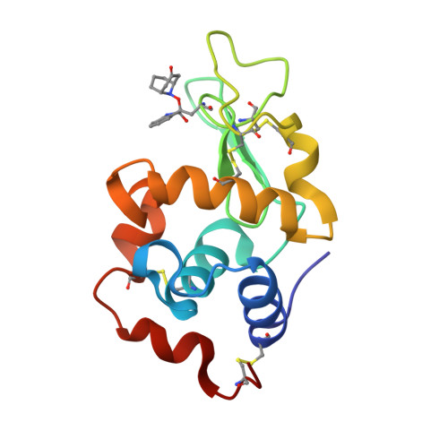 RCSB PDB - 5B59: Hen egg-white lysozyme modified with a keto-ABNO.