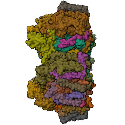 RCSB PDB - 5B66: Crystal Structure Analysis Of Photosystem II Complex