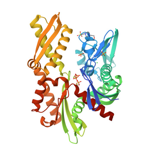 RCSB PDB - 5BN8: Crystal structure of nucleotide-free human Hsp70 NBD.