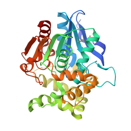 Rcsb Pdb 5bov Crystal Structure Of A Putative Epoxide Hydrolase Kpn01808 From Klebsiella 5719