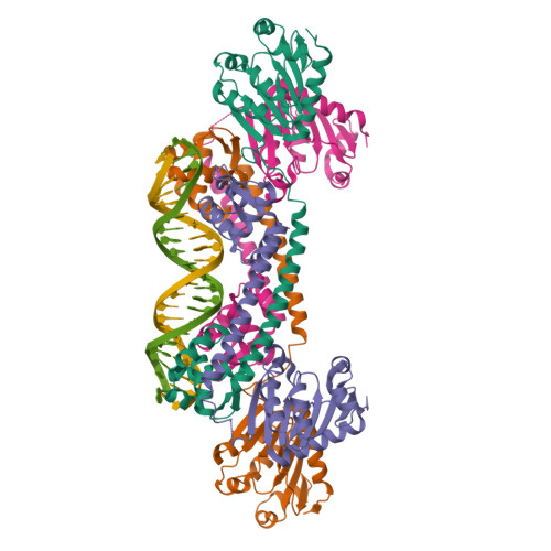RCSB PDB - 5BPI: Structure of TrmBL2, an archaeal chromatin protein ...