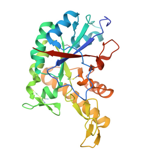 RCSB PDB - 5BU6: Structure of BpsB deaceylase domain from Bordetella ...