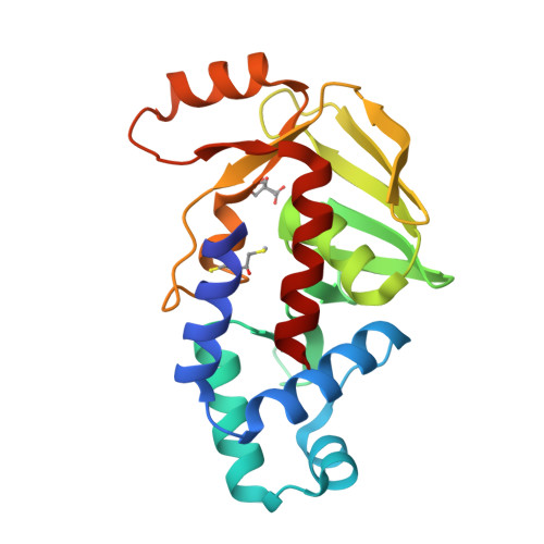 RCSB PDB - 5C17: Crystal structure of the mercury-bound form of MerB2