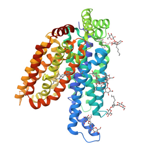 glucose transporter structure