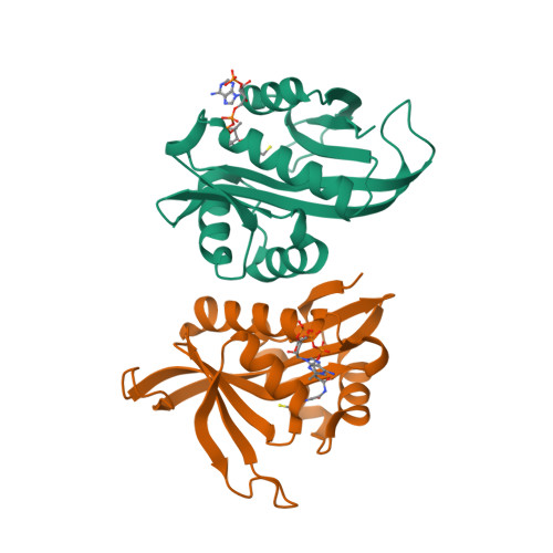 RCSB PDB - 5C88: Crystal structure of Ard1 N-terminal