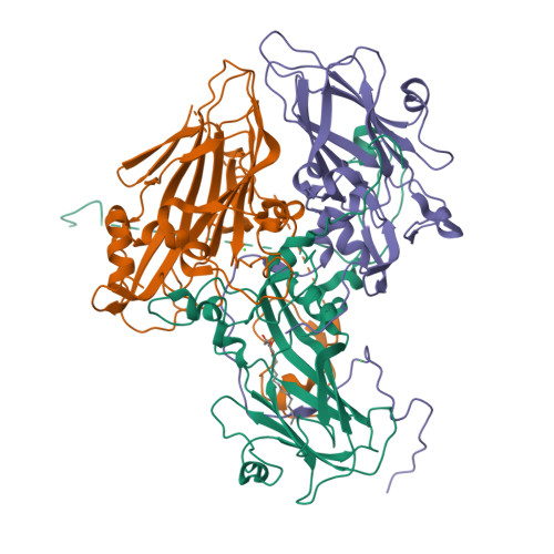 RCSB PDB - 5C8C: Crystal structure of recombinant coxsackievirus 