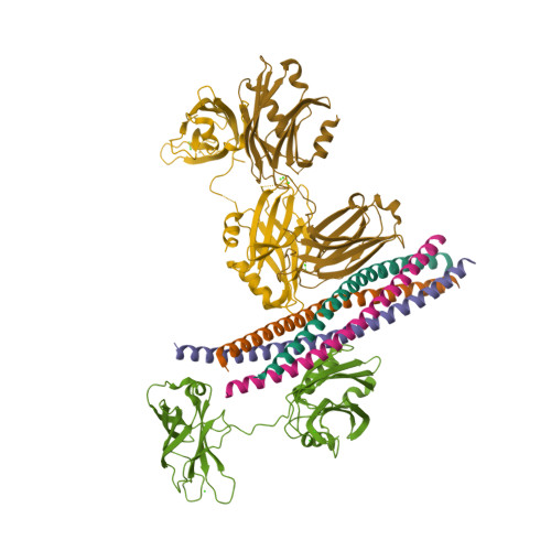 RCSB PDB - 5CCH: Structure of the Ca2+-bound synaptotagmin-1 SNARE ...