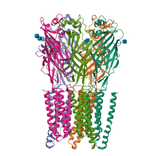 Glycine receptor subunit alpha-3 structure