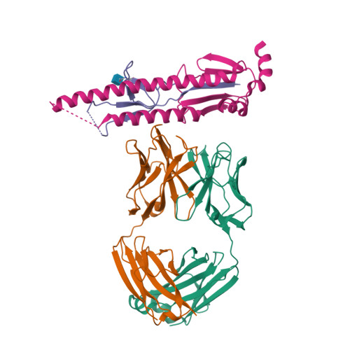 RCSB PDB - 5CJS: Crystal Structure Of A Monomeric Influenza ...