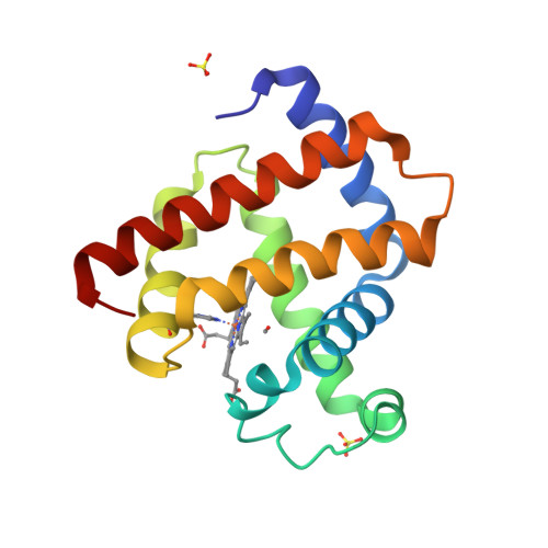 RCSB PDB - 5CN5: Ultrafast dynamics in myoglobin: 0 ps time delay