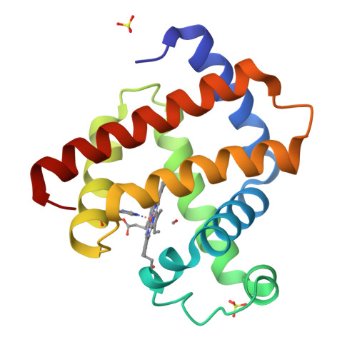 RCSB PDB - 5CNB: Ultrafast dynamics in myoglobin: 0.5 ps time delay