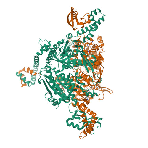 Rcsb Pdb 5cte Humanized Yeast Acc Carboxyltransferase Domain Bound To 22 Dimethylpropyl 1s 9184