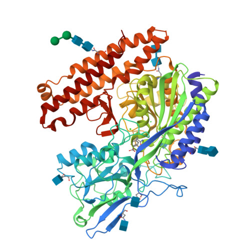 RCSB PDB - 5D29: X-ray structure of human glutamate