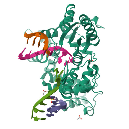 RCSB PDB - 5D46: Structural Basis for a New Templated Activity by ...
