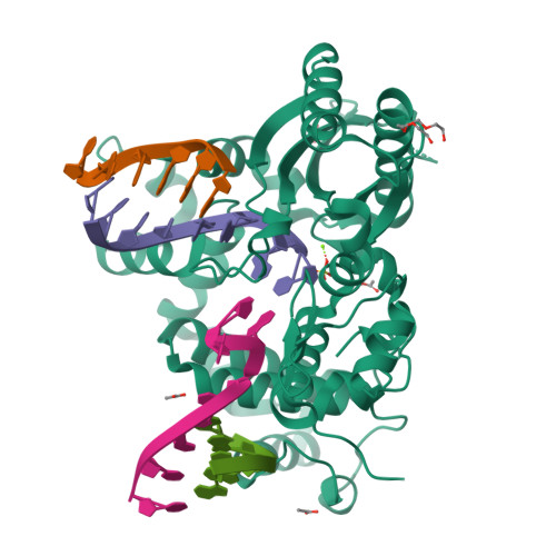 RCSB PDB - 5D49: Structural Basis for a New Templated Activity by ...