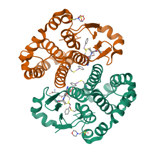 RCSB PDB - 5DAL: Crystal Structure of human Glutathione Transferase Pi ...