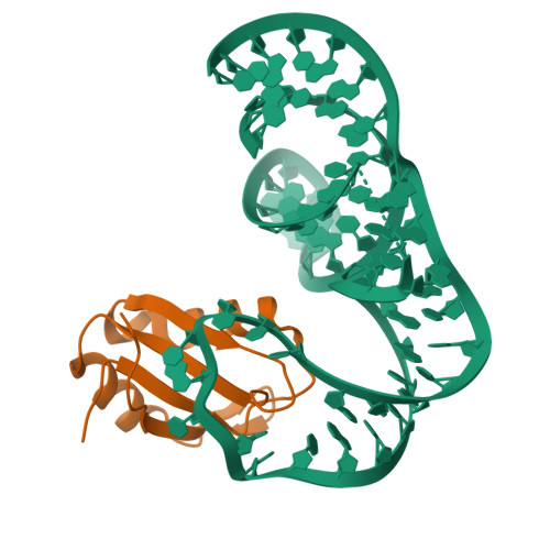 RCSB PDB - 5DDO: Structural and Dynamic Basis for Low Affinity-High ...