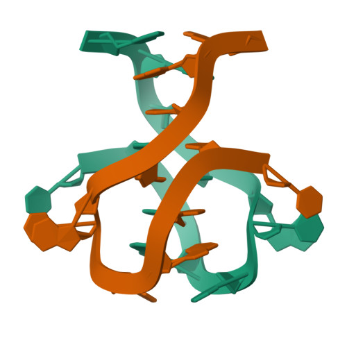 Rcsb Pdb Dev High Resolution Structure Of Ccg Dna Repeats At