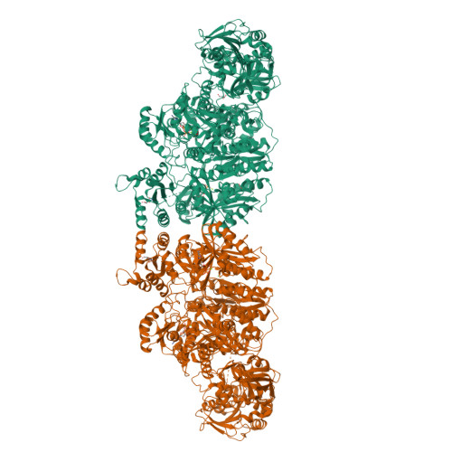 RCSB PDB - 5DOU: Crystal Structure of Human Carbamoyl