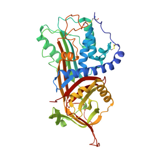 3D molecular structure of C1 Esterase Inhibitor (Recombinant) (PDB entry 5DU3)