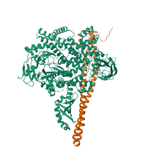 PDB 5DXU
