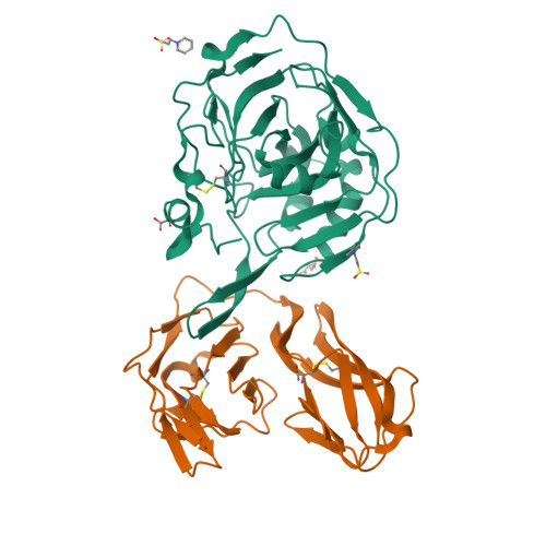 RCSB PDB - 5E5U: Crystal Structure Of The Complex Between Carbonic ...