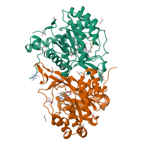 RCSB PDB - 5EA9: Crystal Structure of Trypanosoma cruzi Dihydroorotate ...