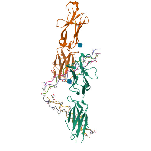 Rcsb Pdb 5eiv Crystal Structure Of Complex Of Osteoclast Associated Immunoglobulin Like