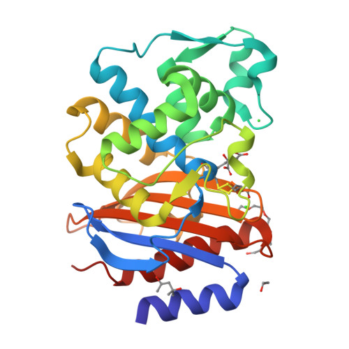 Beta-lactamase bla(BEL1) structure