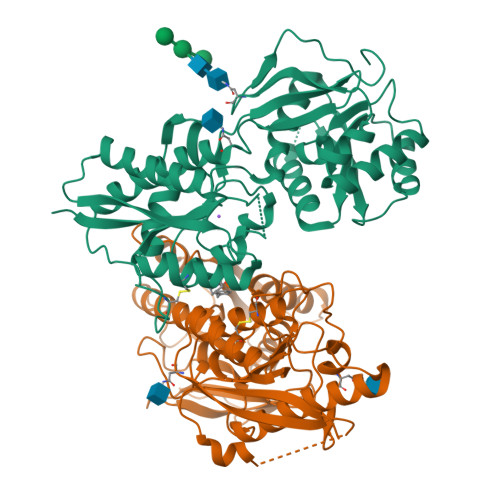 RCSB PDB - 5EWJ: CRYSTAL STRUCTURE OF AMINO TERMINAL DOMAINS OF 