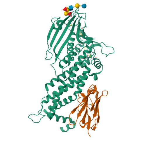 RCSB PDB - 5F7W: Blood group antigen binding adhesin BabA of