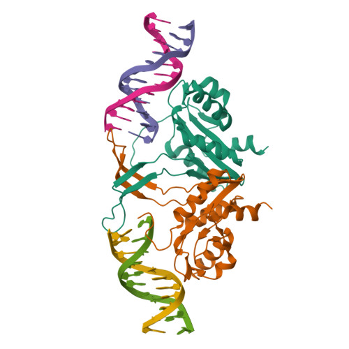 Fdk Assembly RCSB PDB - 5FDK: Crystal structure of RecU(D88N) in complex with ...