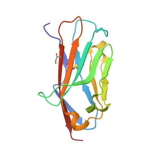 Sodium channel regulatory subunit beta-2 structure