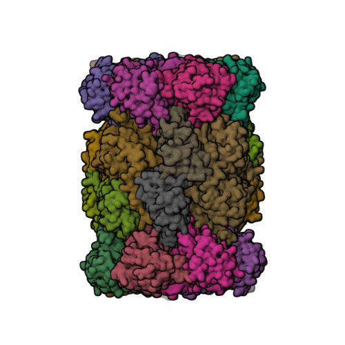 5fgg - Yeast 20S proteasome beta5-L(-49S)_D17N double mutant in complex  with Carfilzomib - Summary - Protein Data Bank Japan