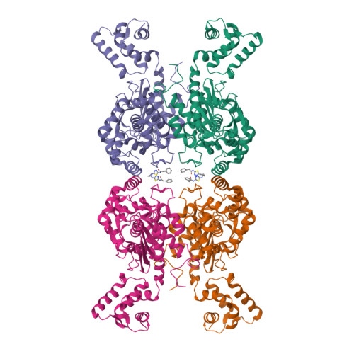 RCSB PDB - 5FI6: Crystal structure of human GAC in complex with ...