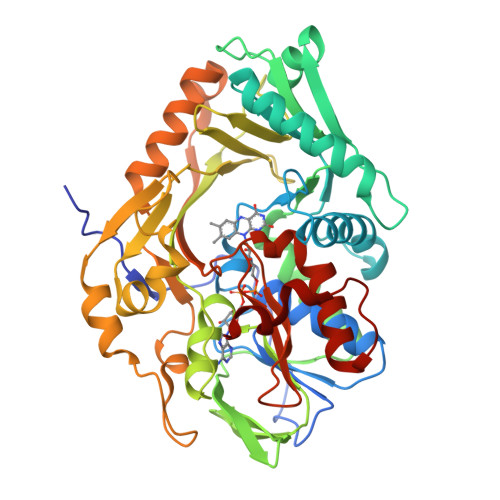 RCSB PDB - 5FJM: Structure of L-Amino acid deaminase from Proteus ...