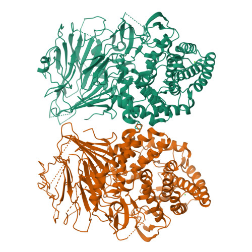 RCSB PDB - 5FJS: Bacterial Beta-glucosidase Reveals The Structural And ...