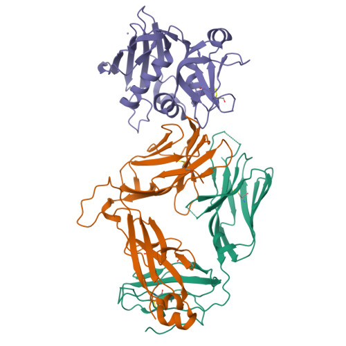 RCSB PDB - 5FKA: Crystal Structure Of Staphylococcal Enterotoxin E In ...