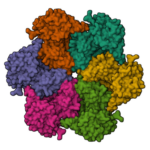 RCSB PDB - 5FTJ: Cryo-EM structure of human p97 bound to UPCDC30245 ...