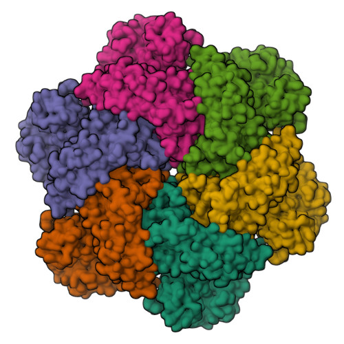 RCSB PDB - 5FTK: Cryo-EM structure of human p97 bound to ADP