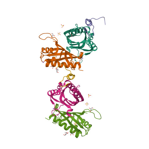 Rcsb Pdb 5fw5 Crystal Structure Of Human G3bp1 In Complex With