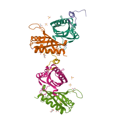 Rcsb Pdb 5fw5 Crystal Structure Of Human G3bp1 In Complex With