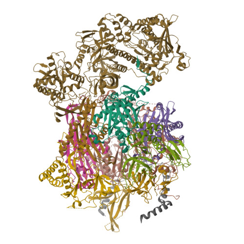 RCSB PDB - 5G06: Cryo-EM structure of yeast cytoplasmic exosome