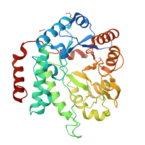Beta-hexosaminidase structure