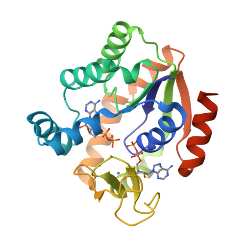 RCSB PDB - 5G3Y: Crystal structure of adenylate kinase ancestor 1 with ...