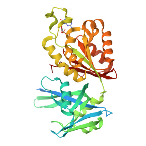 RCSB PDB - 5GGB: Crystal structure of Mycobacterium smegmatis MutT1 in ...