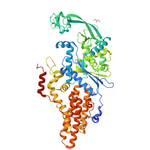 RCSB PDB - 5GL7: Crystal structure of a truncated human cytosolic ...