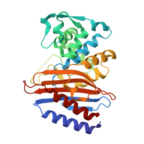 RCSB PDB - 5GLC: Crystal structure of the class A beta-lactamase PenL ...